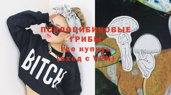 соль ск Алексин