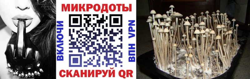 Псилоцибиновые грибы мицелий  где можно купить   Болгар 
